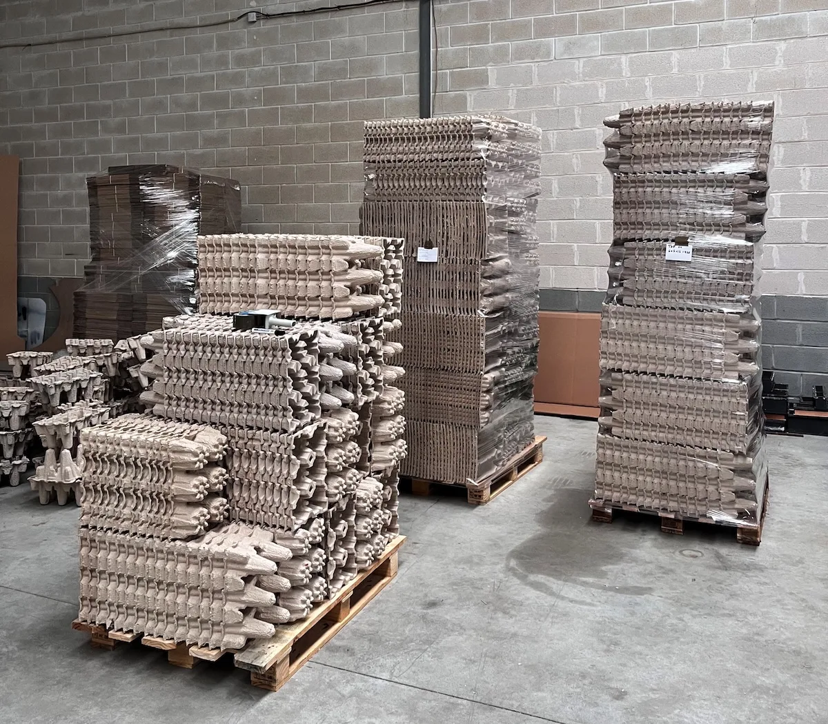Palete com embalagens em polpa de papel moldada